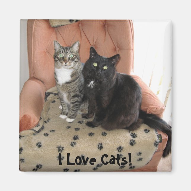 J'aime les chats ! aimant (Devant)
