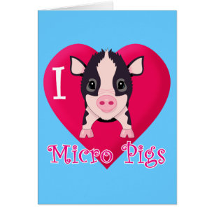 J'aime les porcs micro
