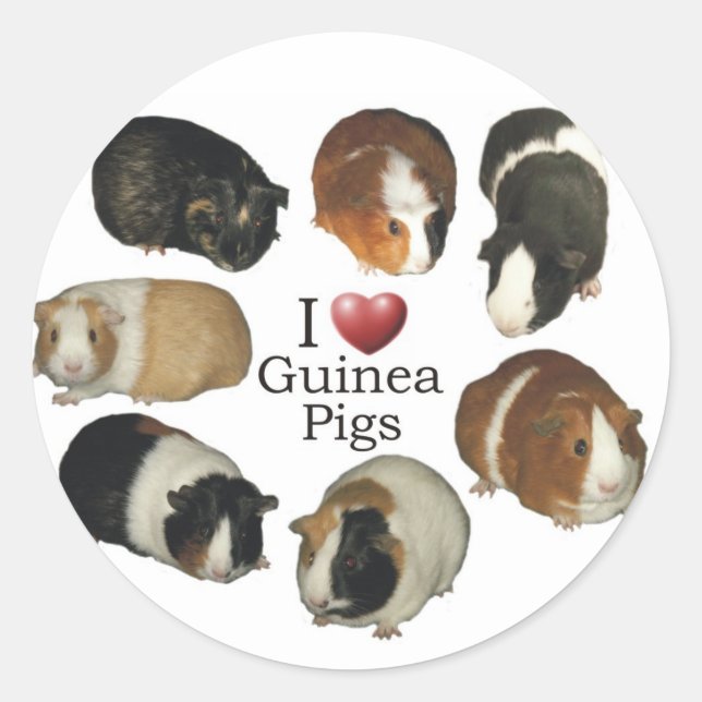 J'aime les stickers de cochon de Guinée (Devant)