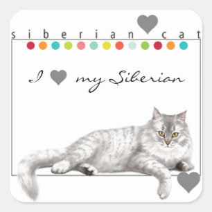 J'Aime Mes Stickers Chat Sibériens