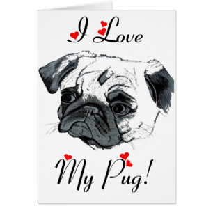 J'aime mon carlin ! Mignon