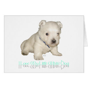 J'Aime Mon Petit Chien Blanc - Chien De Chien West