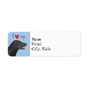 J'aime mon Retriever à revêtement plat
