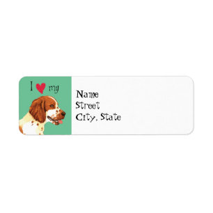 J'aime mon springer spaniel de Gallois