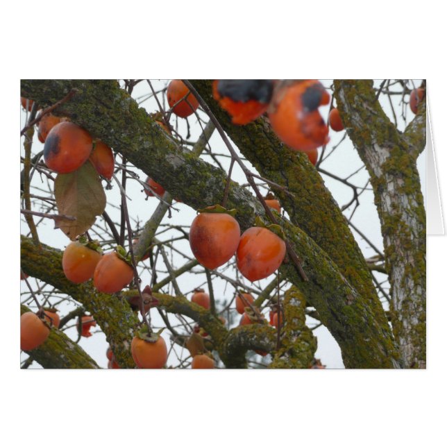 "J'aime sure traîner avec vous. " (Devant horizontal)