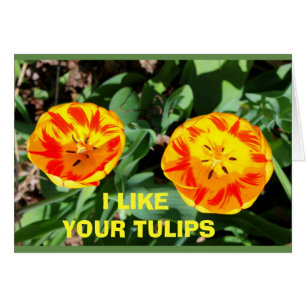 J'Aime Vos Tulipes À Côté De La Mienne !