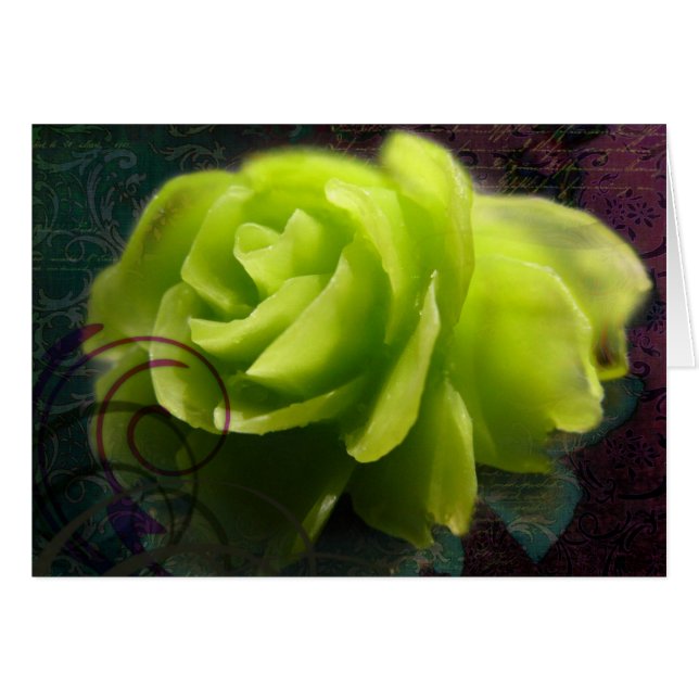 Jaipur (Front Horizontal)