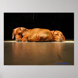 Jake & Dillon Poster