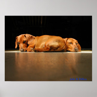 Jake & Dillon Poster