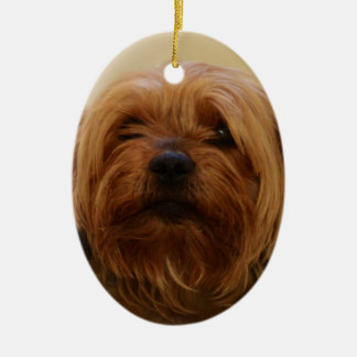 Jake The Yorkie Terrier Ceramic Ornament