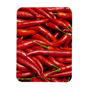 Jalapenos Magnet