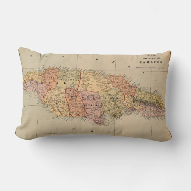 Jamaica 1901 lumbar pillow (Front)