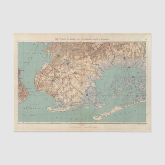 Jamaica Bay and Brooklyn Tissue Paper (Front)