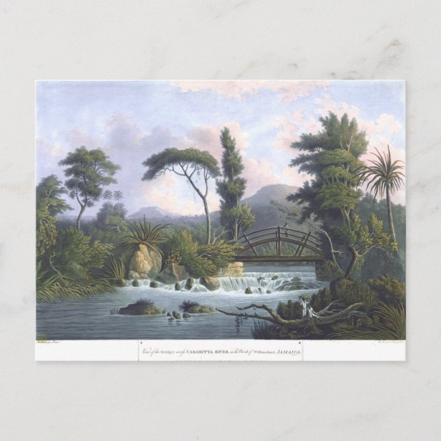Jamaica Cabarita River Westmoreland Postcard (Front)