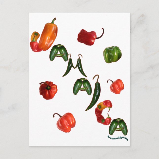 Jamaica Chili Peppers Postcard (Front)