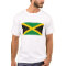 Jamaica Flag T-shirt
