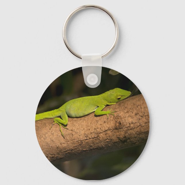 Jamaican giant anole keychain (Front)