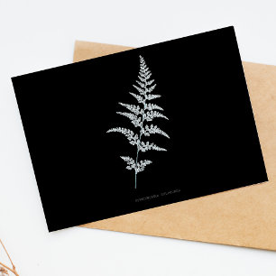 Jamaican Goldback Fern, Gymnogramma Sulphurea Postcard