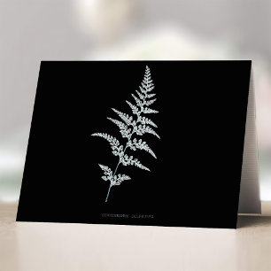 Jamaican Goldback Fern, Gymnogramma Sulphurea Thank You Card