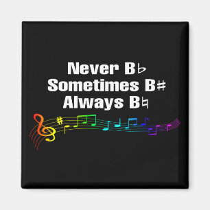 Jamais B Plat, Parfois B Sharp Magnet