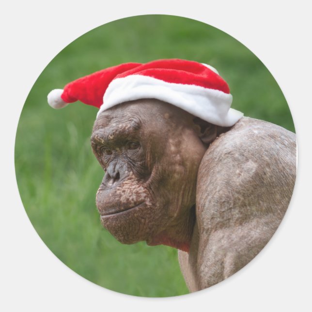 Jambo in a Christmas Hat Classic Round Sticker (Front)