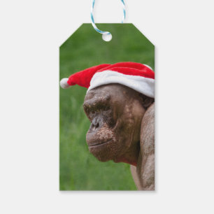 Jambo in a Christmas Hat Gift Tags