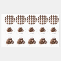 Jambo The Hairless Chimp (change to your own text)