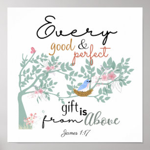 James 1:17 Chaque Poster Cadeau Bon et Parfait