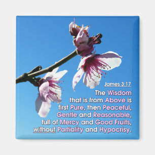 James 3v17 - Wisdom From Above Magnet