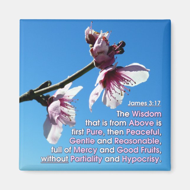 James 3v17 - Wisdom From Above Magnet (Front)