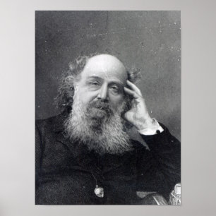 James Joseph Sylvester Poster