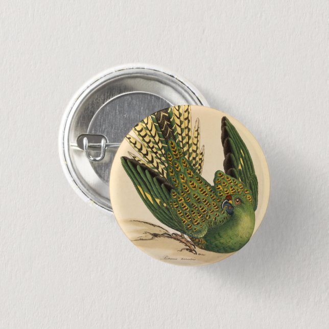 James Sowerby Ground Parrot, Psittacus terrestris  1 Inch Round Button (Front & Back)