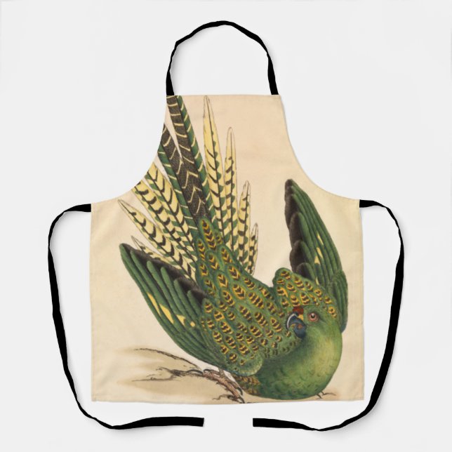 James Sowerby Ground Parrot, Psittacus terrestris  Apron (Front)