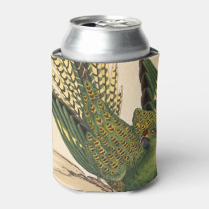 James Sowerby Ground Parrot, Psittacus terrestris Can Cooler