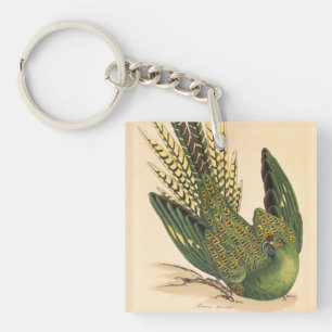 James Sowerby Ground Parrot, Psittacus terrestris  Keychain