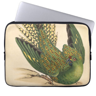 James Sowerby Ground Parrot, Psittacus terrestris  Laptop Sleeve