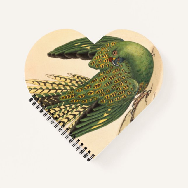James Sowerby Ground Parrot, Psittacus terrestris  Notebook (Front)
