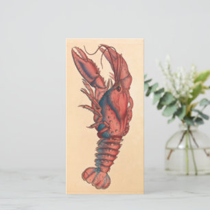 James Sowerby  Serrated Lobster  