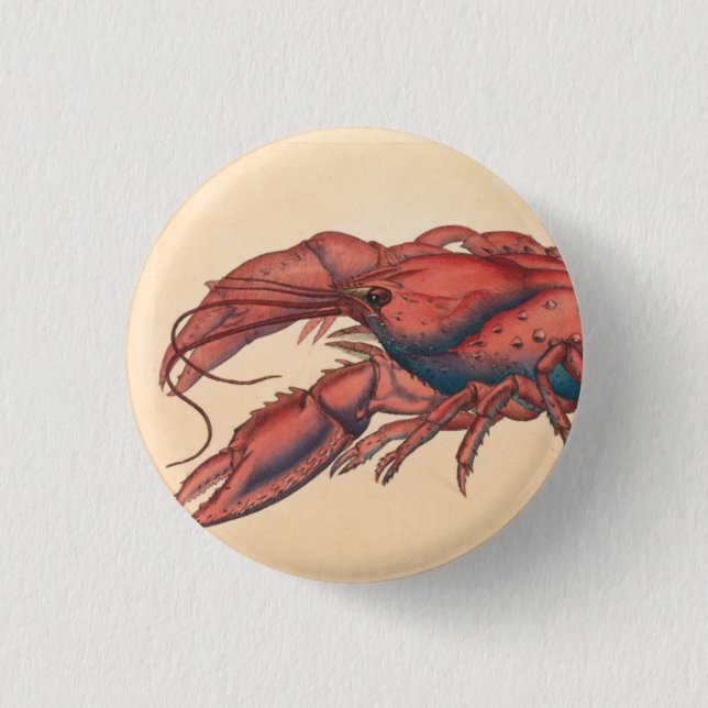 James Sowerby  Serrated Lobster     1 Inch Round Button (Front)