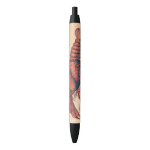 James Sowerby  Serrated Lobster    Black Ink Pen