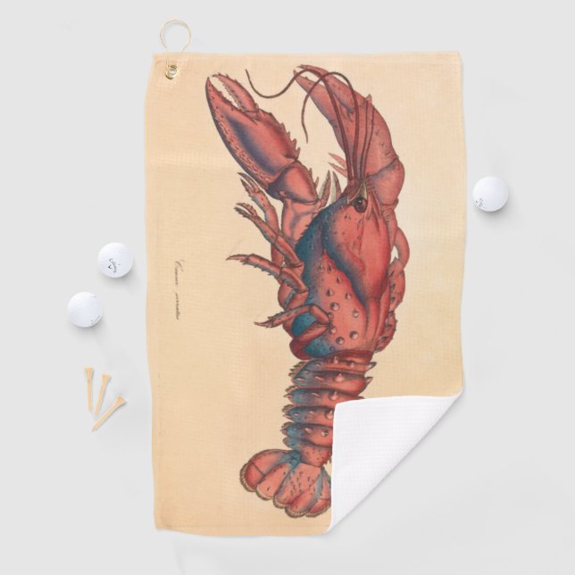 James Sowerby  Serrated Lobster   Golf Towel (InSitu)