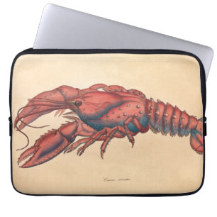 James Sowerby  Serrated Lobster    Laptop Sleeve