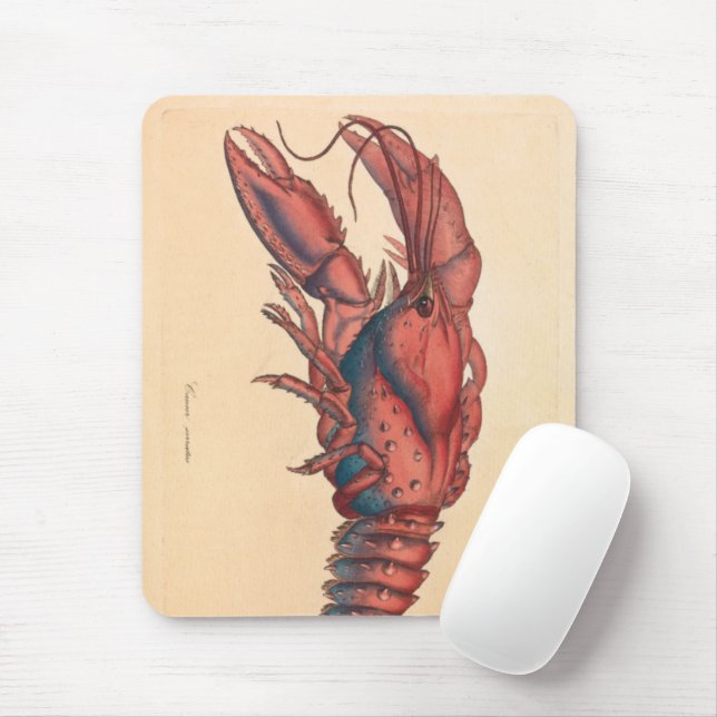 James Sowerby  Serrated Lobster  Mouse Pad (With Mouse)