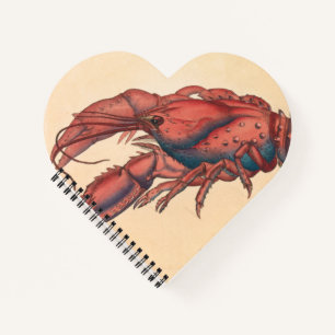 James Sowerby  Serrated Lobster   Notebook