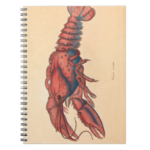 James Sowerby Serrated Lobster Notebook