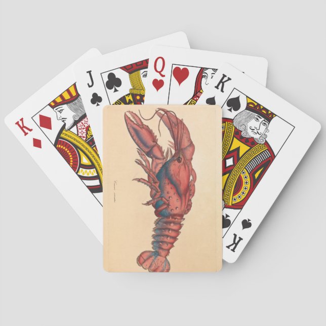 James Sowerby  Serrated Lobster   Playing Cards (Back)