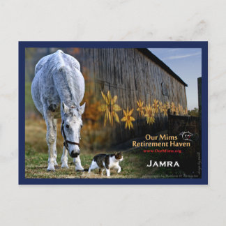 Jamra Postcard