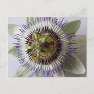 Jan 1 - educatedbrainfart postcard
