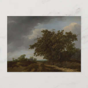 Jan Vermeer, Landscape on the Edge of the Dunes Postcard