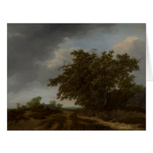 Jan Vermeer, Paysage au bord des dunes